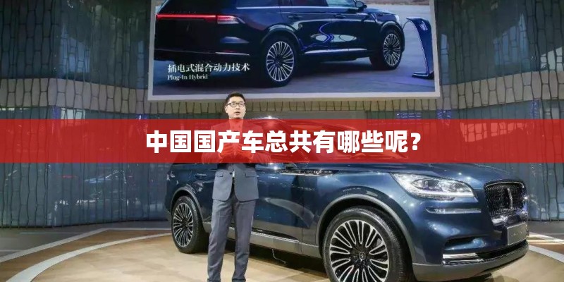 中国国产车总共有哪些呢? 中国国产车总共有哪些呢?
