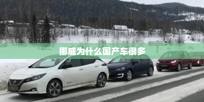 挪威为什么国产车很多