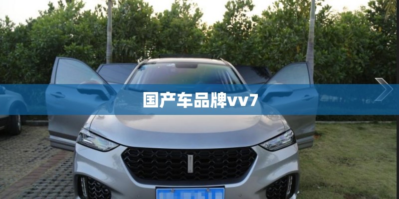 国产车品牌vv7 国产车品牌vv7