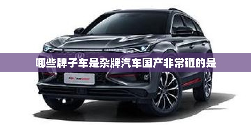 哪些牌子车是杂牌汽车国产非常砸的是 哪些牌子车是杂牌汽车国产非常砸的是