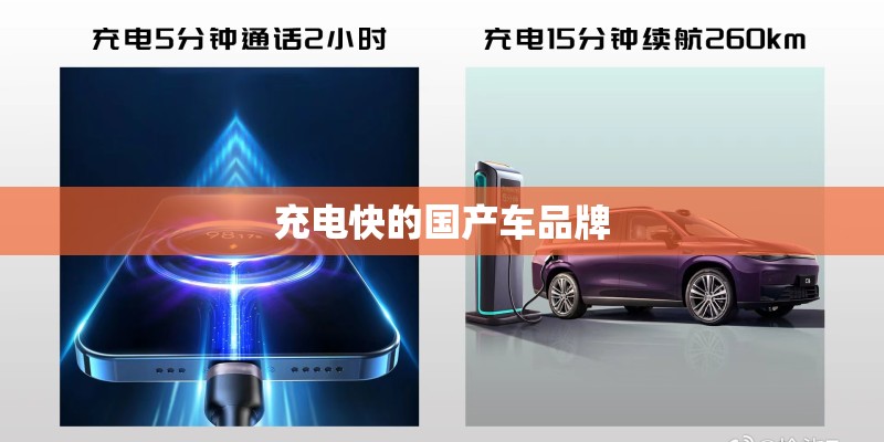 充电快的国产车品牌 充电快的国产车品牌