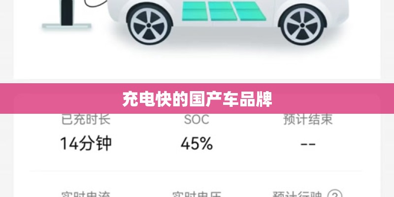 充电快的国产车品牌 充电快的国产车品牌