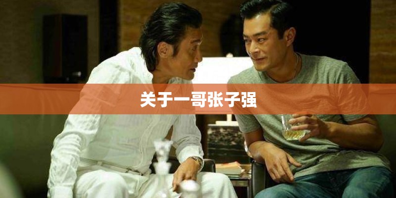 关于一哥张子强
