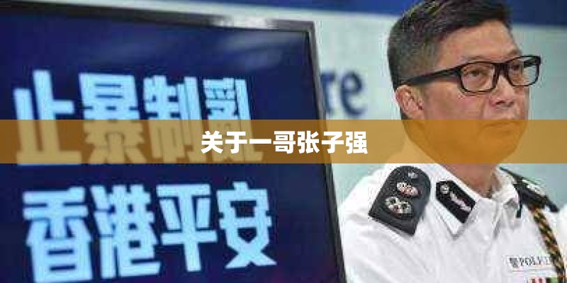 关于一哥张子强 关于一哥张子强