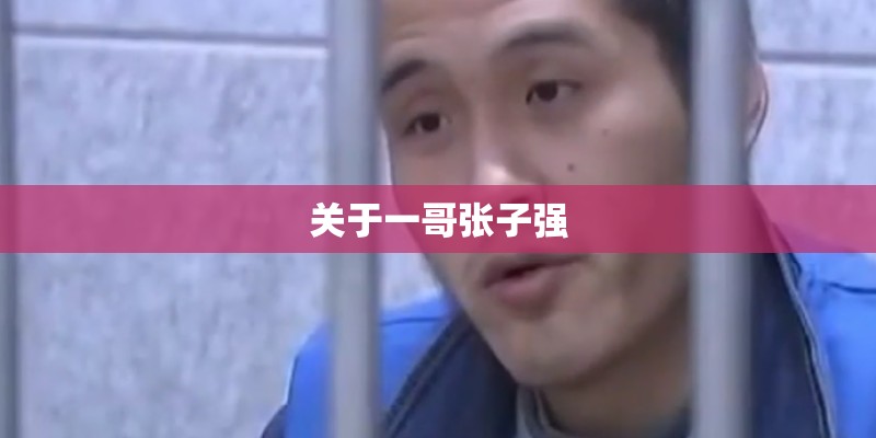 关于一哥张子强 关于一哥张子强
