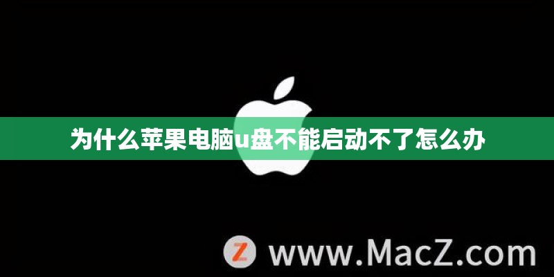 为什么苹果电脑u盘不能启动不了怎么办