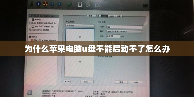 为什么苹果电脑u盘不能启动不了怎么办