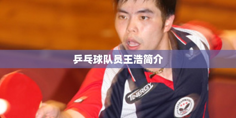 乒乓球队员王浩简介