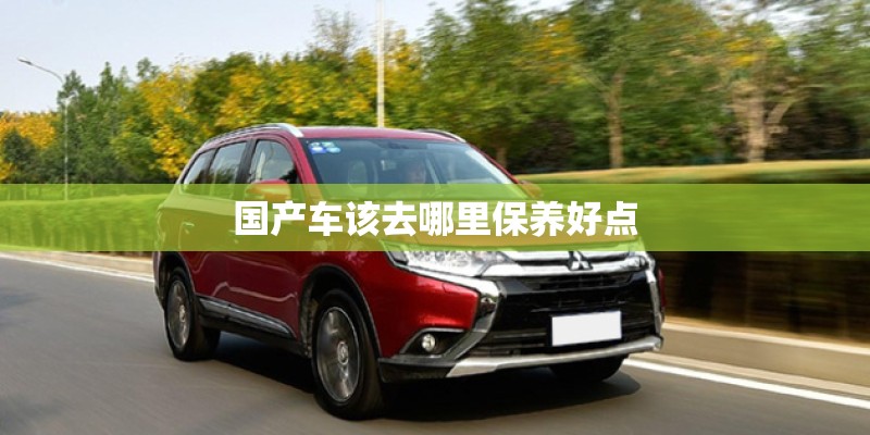 国产车该去哪里保养好点