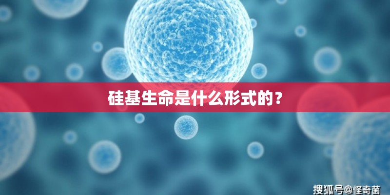 硅基生命是什么形式的? 硅基生命是什么形式的?