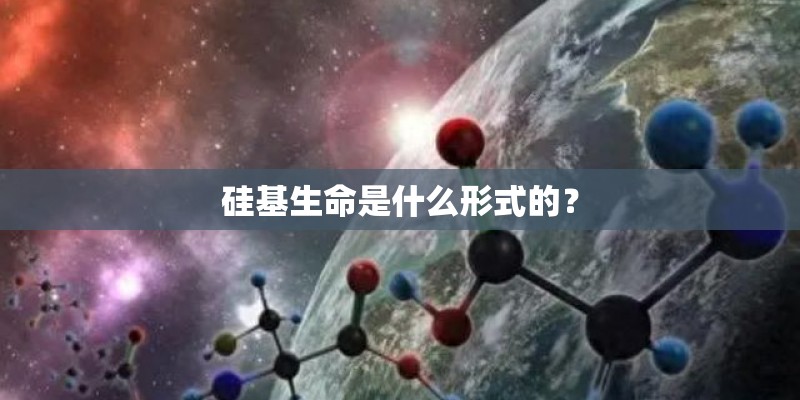 硅基生命是什么形式的? 硅基生命是什么形式的?