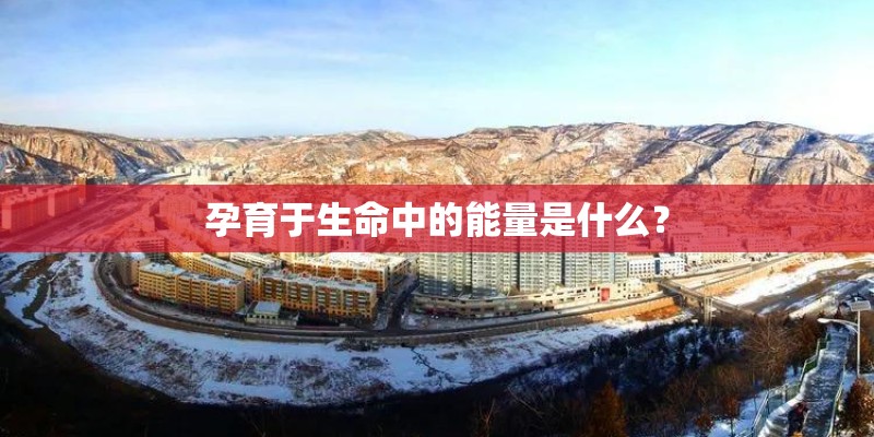 孕育于生命中的能量是什么？