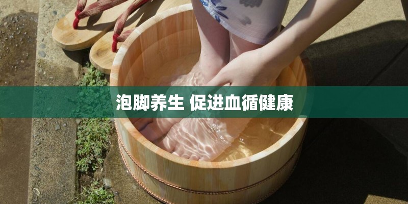 泡脚养生 促进血循健康 泡脚养生 促进血循健康