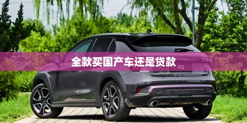 全款买国产车还是贷款