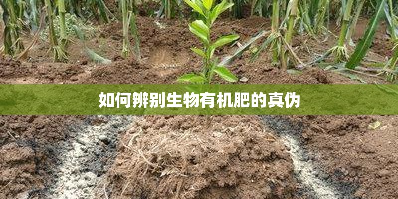 如何辨别生物有机肥的真伪