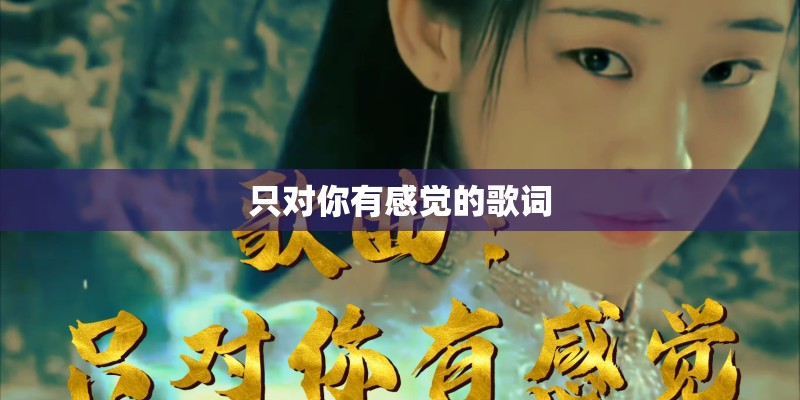 只对你有感觉的歌词 只对你有感觉的歌词