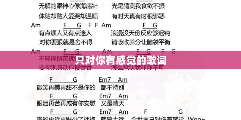 只对你有感觉的歌词 只对你有感觉的歌词
