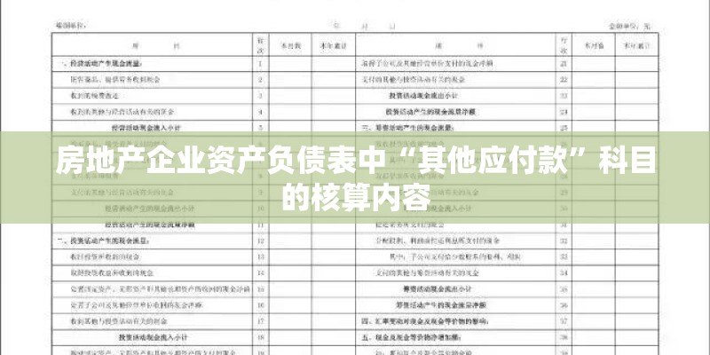 房地产企业资产负债表中“其他应付款”科目的核算内容 房地产企业资产负债表中“其他应付款”科目的核算内容