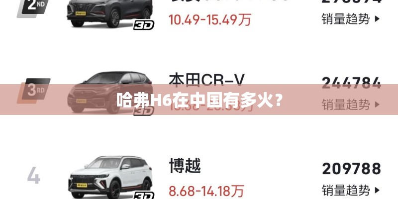 哈弗H6在中国有多火？