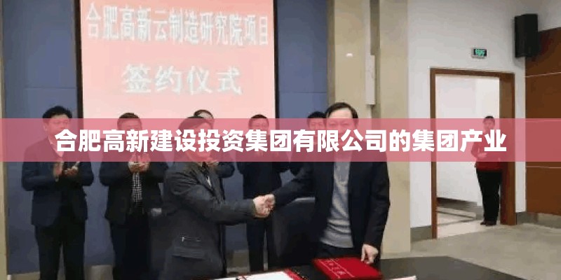 合肥高新建设投资集团有限公司的集团产业 合肥高新建设投资集团有限公司的集团产业