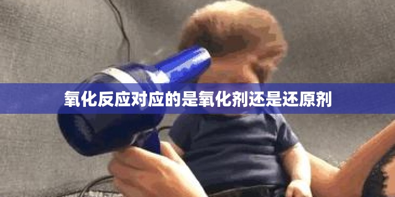 氧化反应对应的是氧化剂还是还原剂