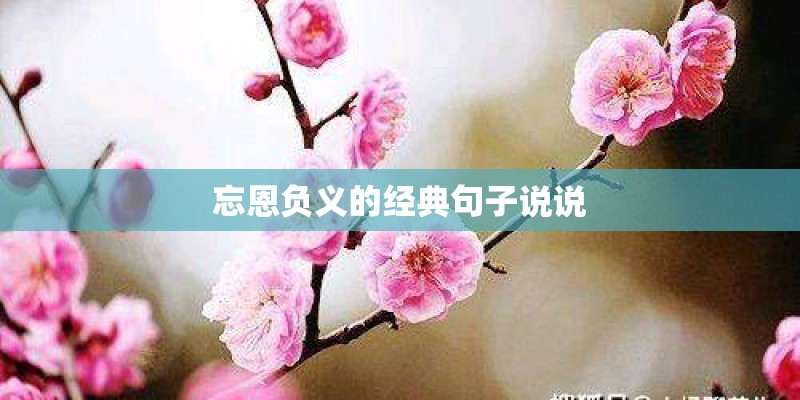 忘恩负义的经典句子说说 忘恩负义的经典句子说说