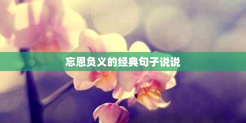 忘恩负义的经典句子说说 忘恩负义的经典句子说说