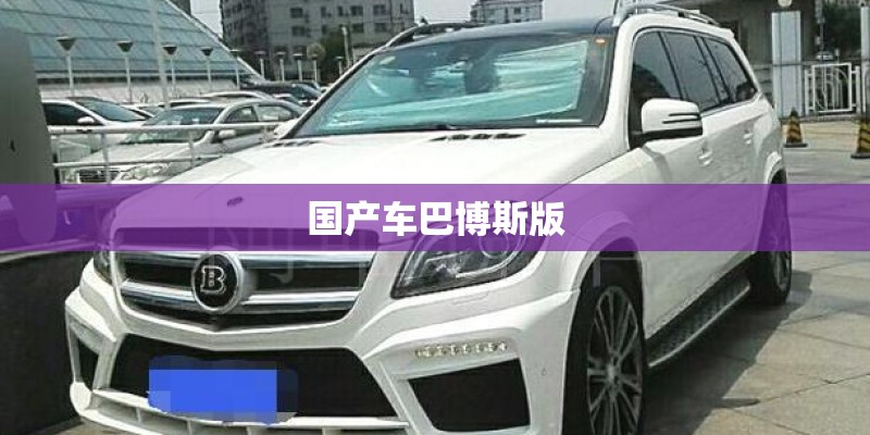 国产车巴博斯版 国产车巴博斯版