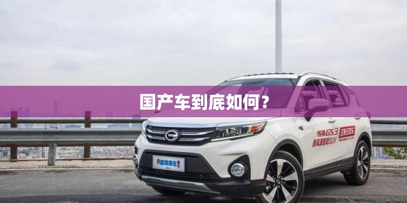 国产车到底如何? 国产车到底如何?
