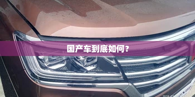 国产车到底如何? 国产车到底如何?
