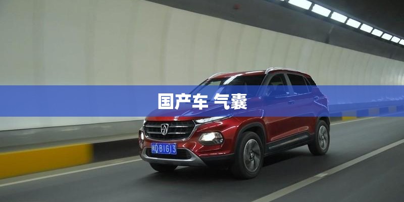 国产车 气囊