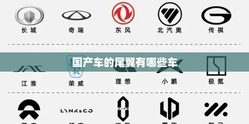 国产车的尾翼有哪些车