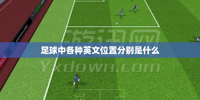 足球中各种英文位置分别是什么