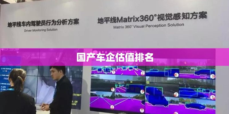 国产车企估值排名