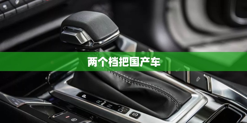 两个档把国产车