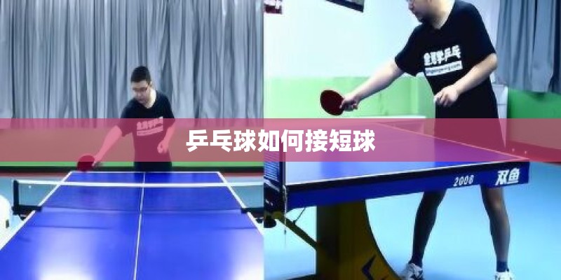 乒乓球如何接短球 乒乓球如何接短球