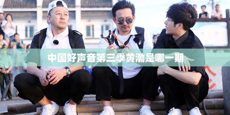 中国好声音第三季黄渤是哪一期
