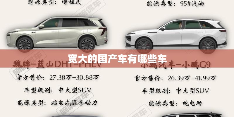 宽大的国产车有哪些车 宽大的国产车有哪些车