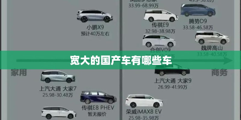 宽大的国产车有哪些车 宽大的国产车有哪些车