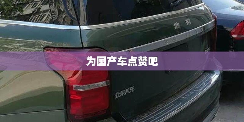 为国产车点赞吧