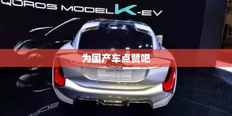 为国产车点赞吧