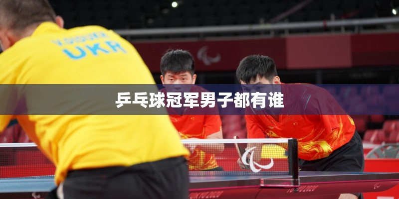 乒乓球冠军男子都有谁 乒乓球冠军男子都有谁