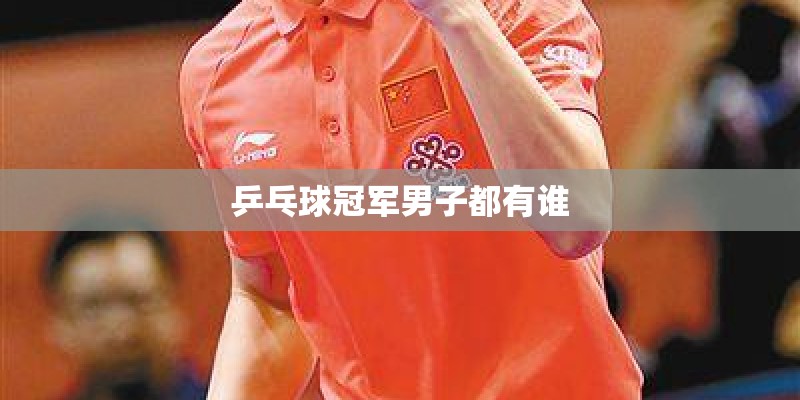 乒乓球冠军男子都有谁 乒乓球冠军男子都有谁