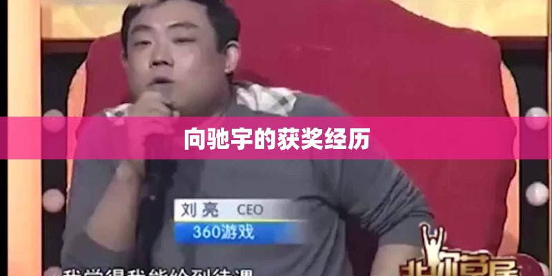 向驰宇的获奖经历