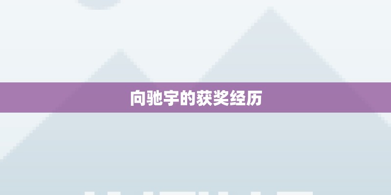 向驰宇的获奖经历