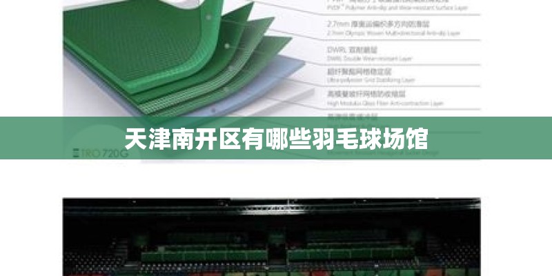 天津南开区有哪些羽毛球场馆