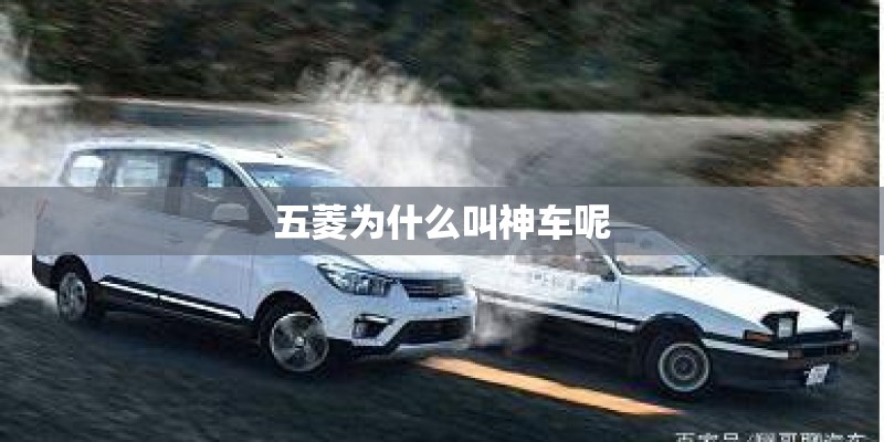 五菱为什么叫神车呢