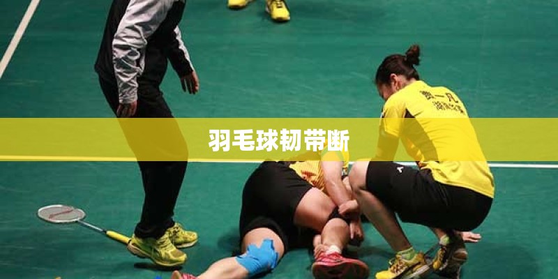 羽毛球韧带断