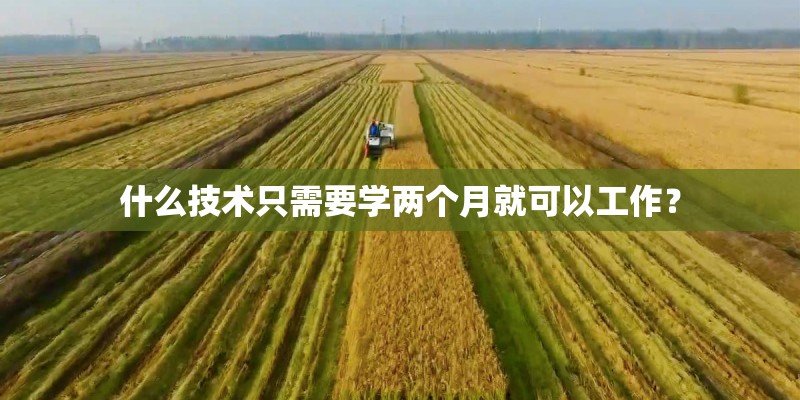 什么技术只需要学两个月就可以工作？
