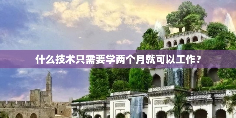 什么技术只需要学两个月就可以工作？